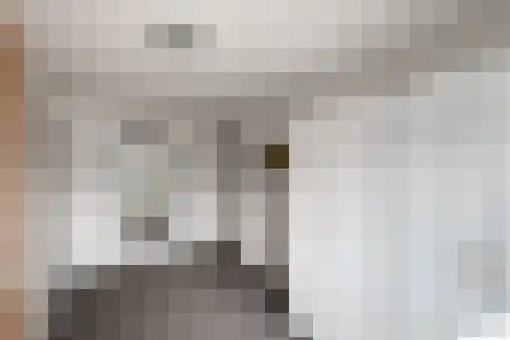 Scheermolen 67 Wierden thumbnail 63