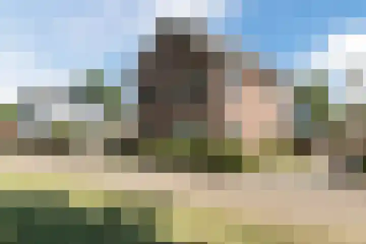 Scheerwolderweg 24 Scheerwolde thumbnail 4