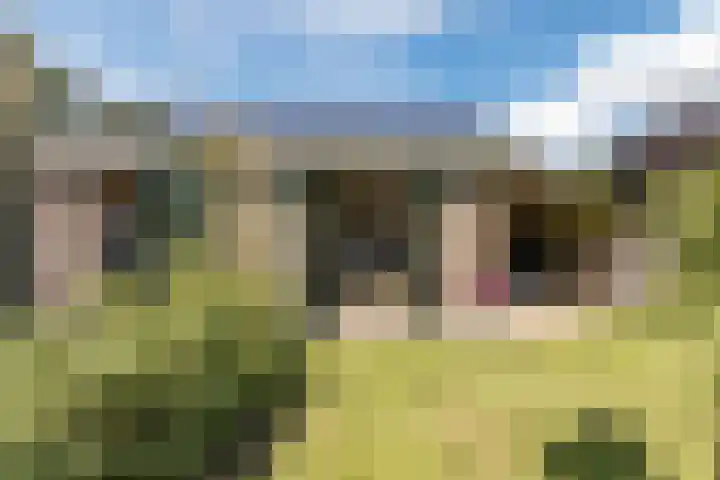 Scheerwolderweg 24 Scheerwolde thumbnail 60