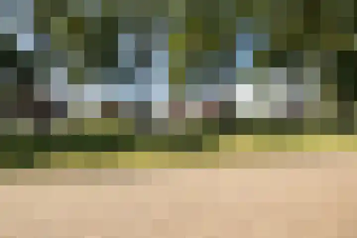 Scheerwolderweg 24 Scheerwolde thumbnail 61