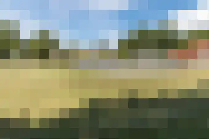 Scheerwolderweg 24 Scheerwolde thumbnail 62