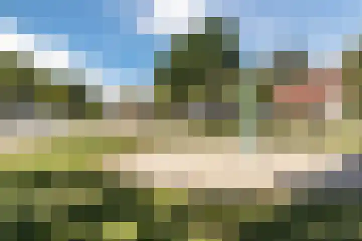 Scheerwolderweg 24 Scheerwolde thumbnail 63