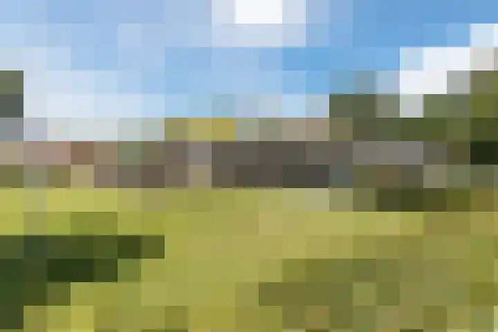 Scheerwolderweg 24 Scheerwolde thumbnail 64