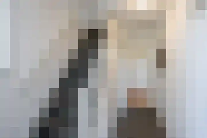Scheerwolderweg 24 Scheerwolde thumbnail 8