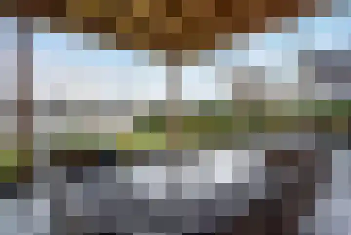 Scheerwolderweg 3 c Scheerwolde thumbnail 49