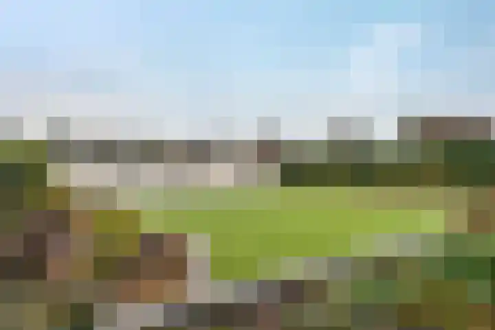 Scheerwolderweg 3 c Scheerwolde thumbnail 51