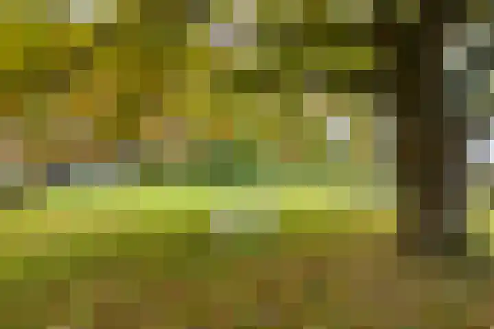 Scheggertdijk 39 Almen thumbnail 35