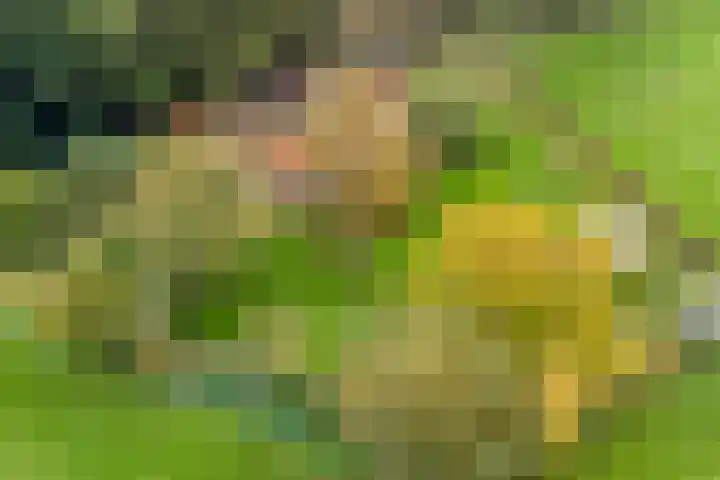 Scheggertdijk 39 Almen thumbnail 43