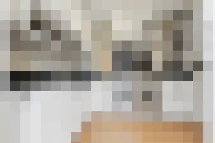 Scheibeekstraat 28 Assendelft thumbnail 10