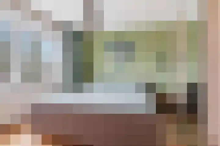 Scheibeekstraat 28 Assendelft thumbnail 16