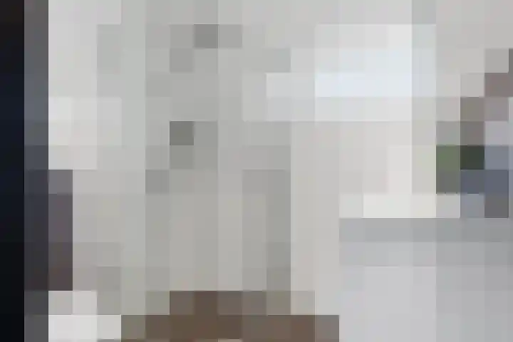 Scheibeekstraat 28 Assendelft thumbnail 22