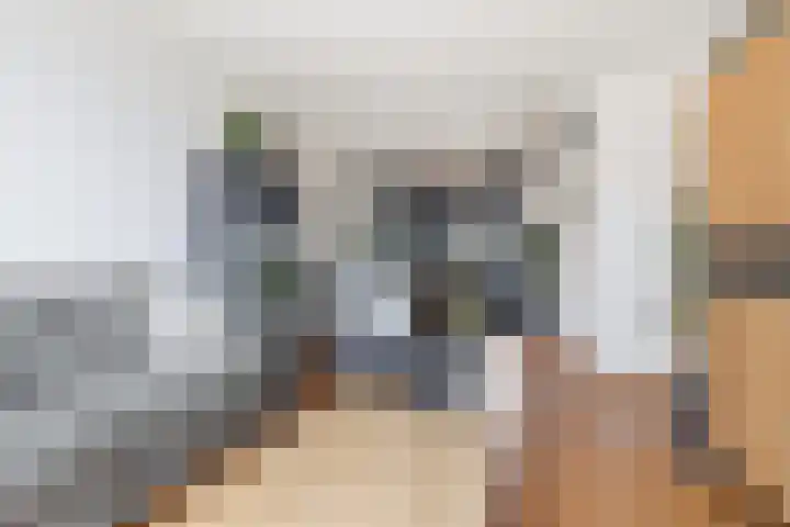 Scheibeekstraat 28 Assendelft thumbnail 6
