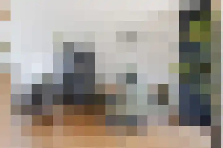 Scheibeekstraat 28 Assendelft thumbnail 8