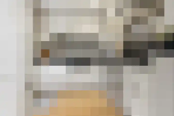 Scheibeekstraat 28 Assendelft thumbnail 9