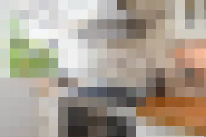 Scheiding 51 Opende thumbnail 12