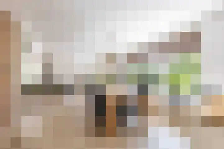 Scheiding 51 Opende thumbnail 13