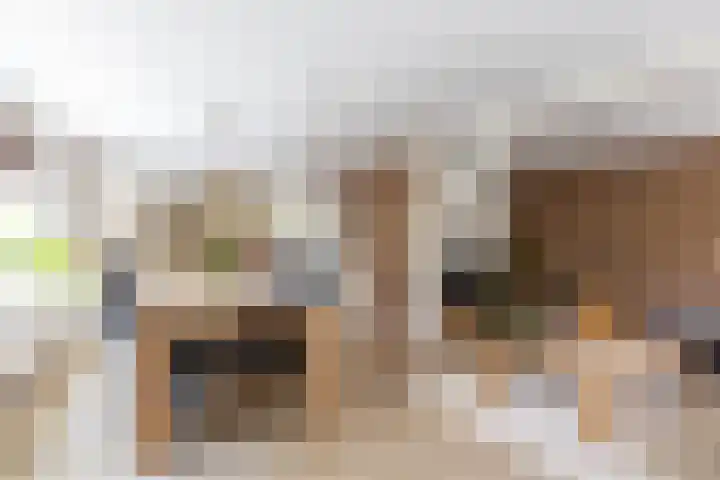 Scheiding 51 Opende thumbnail 16