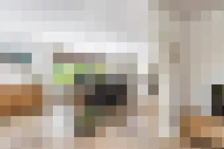 Scheiding 51 Opende thumbnail 17