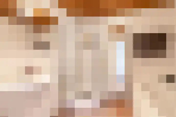 Scheiding 51 Opende thumbnail 24