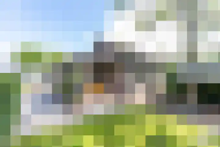 Scheiding 51 Opende thumbnail 31