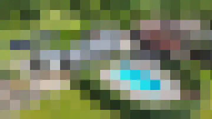 Scheiding 51 Opende thumbnail 34