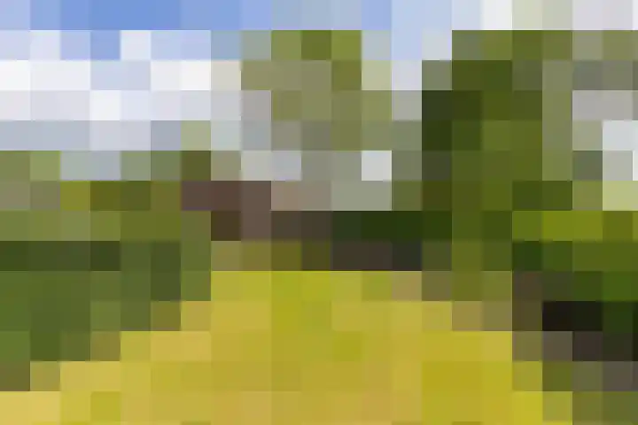 Scheiding 51 Opende thumbnail 36