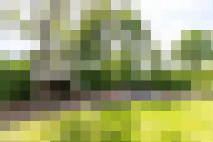 Scheiding 51 Opende thumbnail 37
