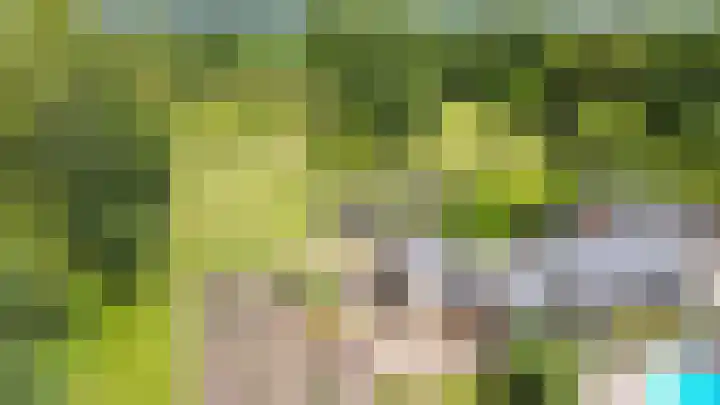 Scheiding 51 Opende thumbnail 38