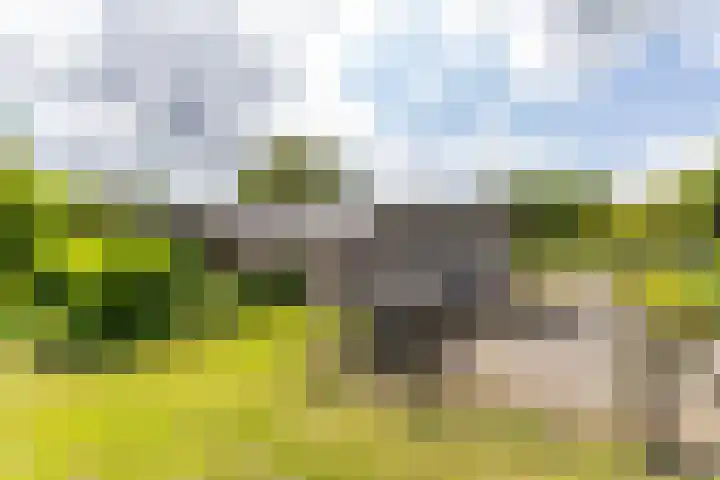 Scheiding 51 Opende thumbnail 40