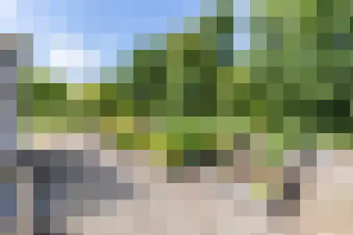Scheiding 51 Opende thumbnail 41