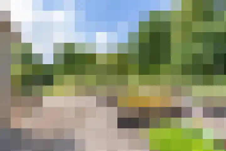 Scheiding 51 Opende thumbnail 42
