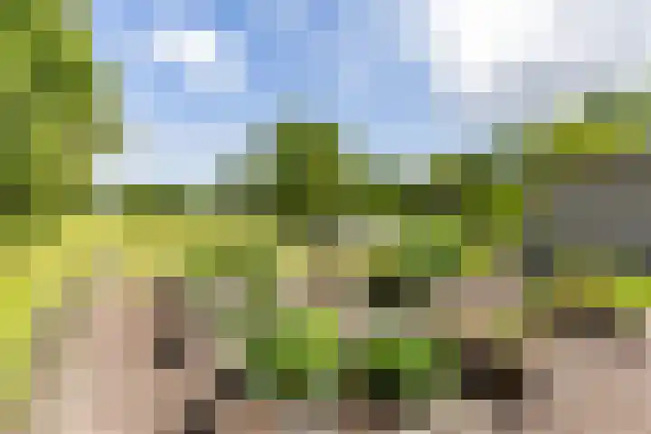 Scheiding 51 Opende thumbnail 43