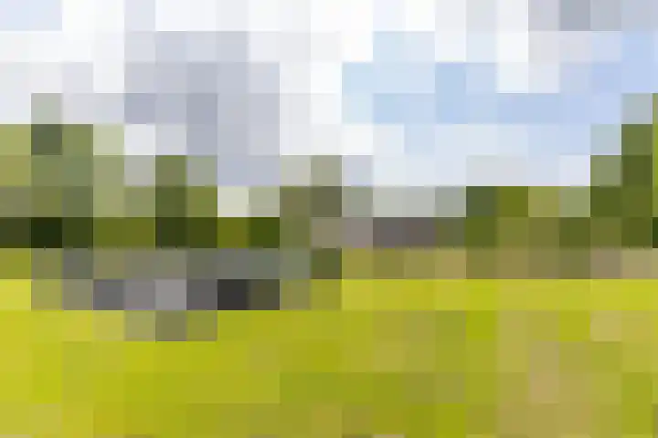 Scheiding 51 Opende thumbnail 44
