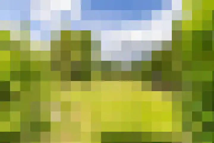 Scheiding 51 Opende thumbnail 45