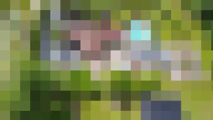 Scheiding 51 Opende thumbnail 48