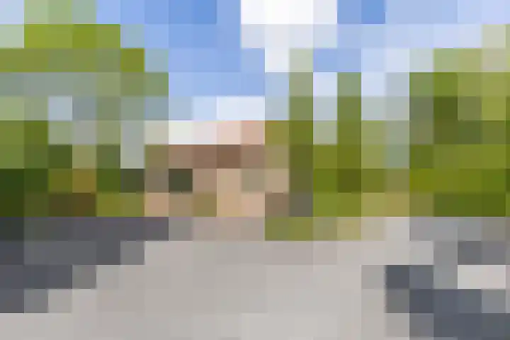 Scheiding 51 Opende thumbnail 5
