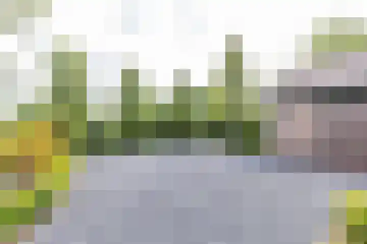Scheiding 51 Opende thumbnail 6