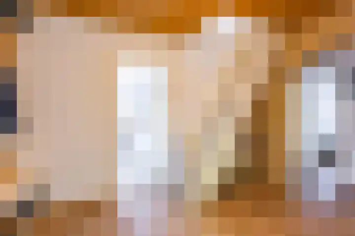 Scheiding 51 Opende thumbnail 9