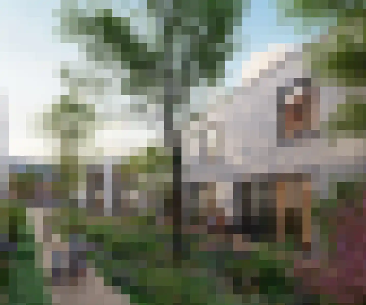 Scheidingstraat 106 E Eindhoven foto 3