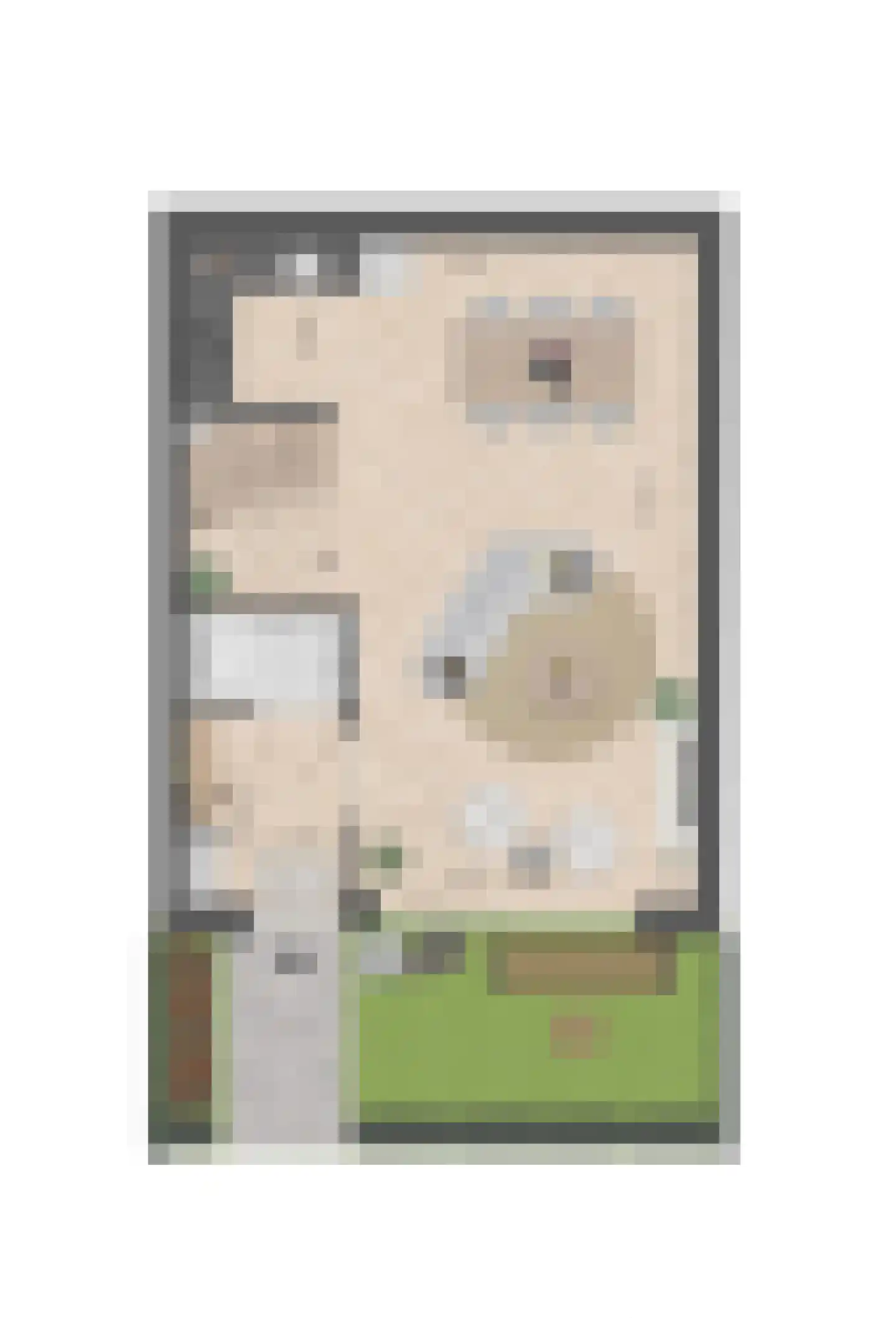 Scheidingstraat 106 E Eindhoven thumbnail 5