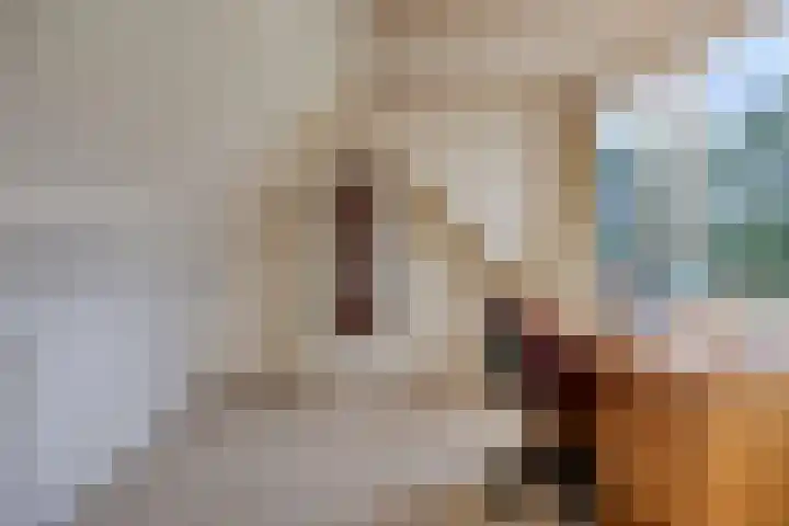 Scheidingstraat 31 Elshout thumbnail 32