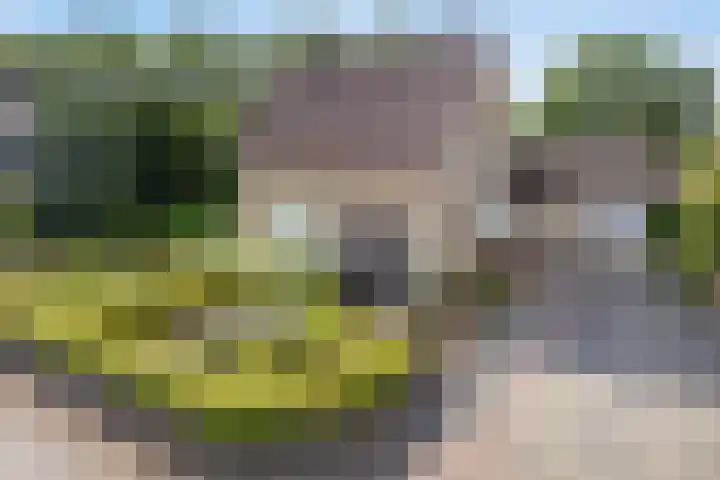 Scheidingstraat 31 Elshout thumbnail 4