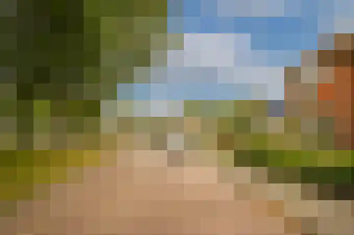 Scheidingstraat 31 Elshout thumbnail 40