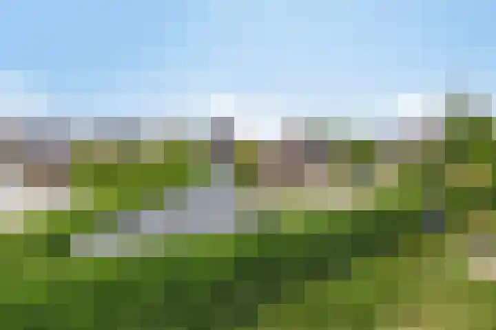 Scheidingstraat 31 Elshout thumbnail 53