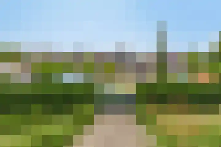 Scheidingstraat 31 Elshout thumbnail 54