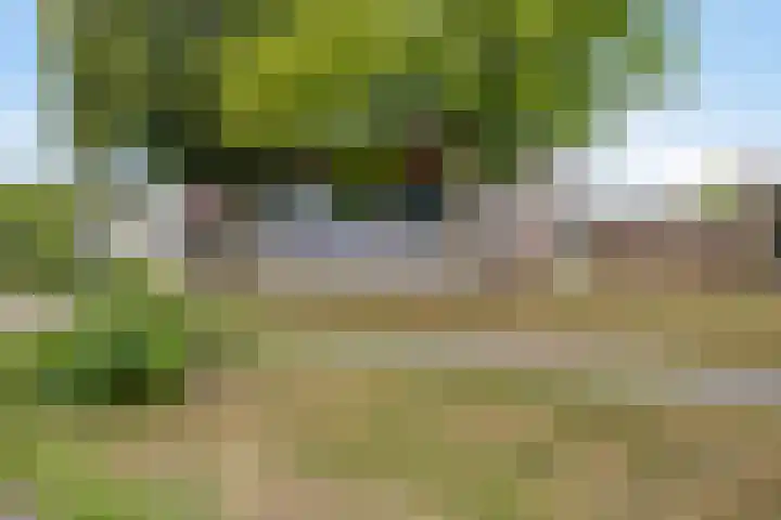 Scheidingstraat 31 Elshout thumbnail 58