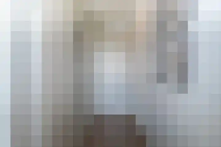 Scheidiuslaan 50 Arnhem thumbnail 10