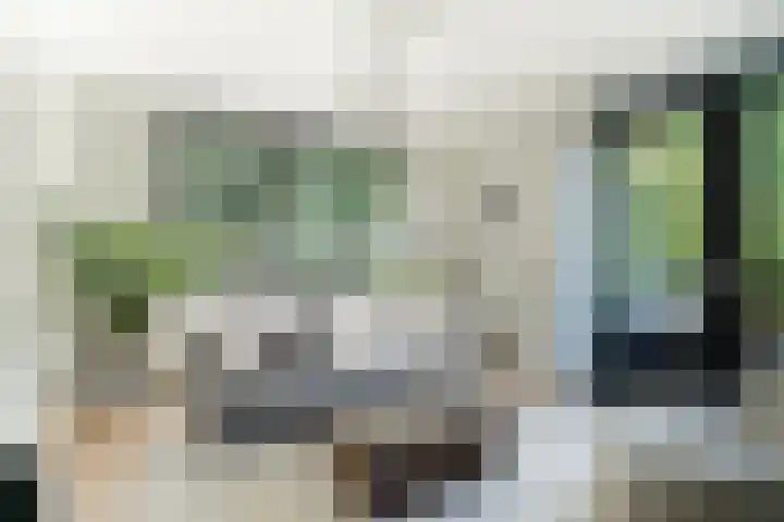 Scheidiuslaan 50 Arnhem thumbnail 12