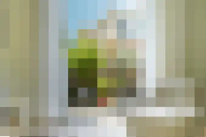 Scheidiuslaan 50 Arnhem thumbnail 17