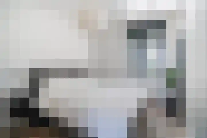 Scheidiuslaan 50 Arnhem thumbnail 27